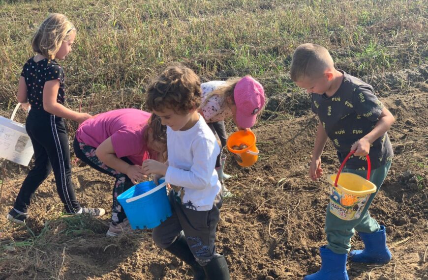 0a i 0b na wykopkach