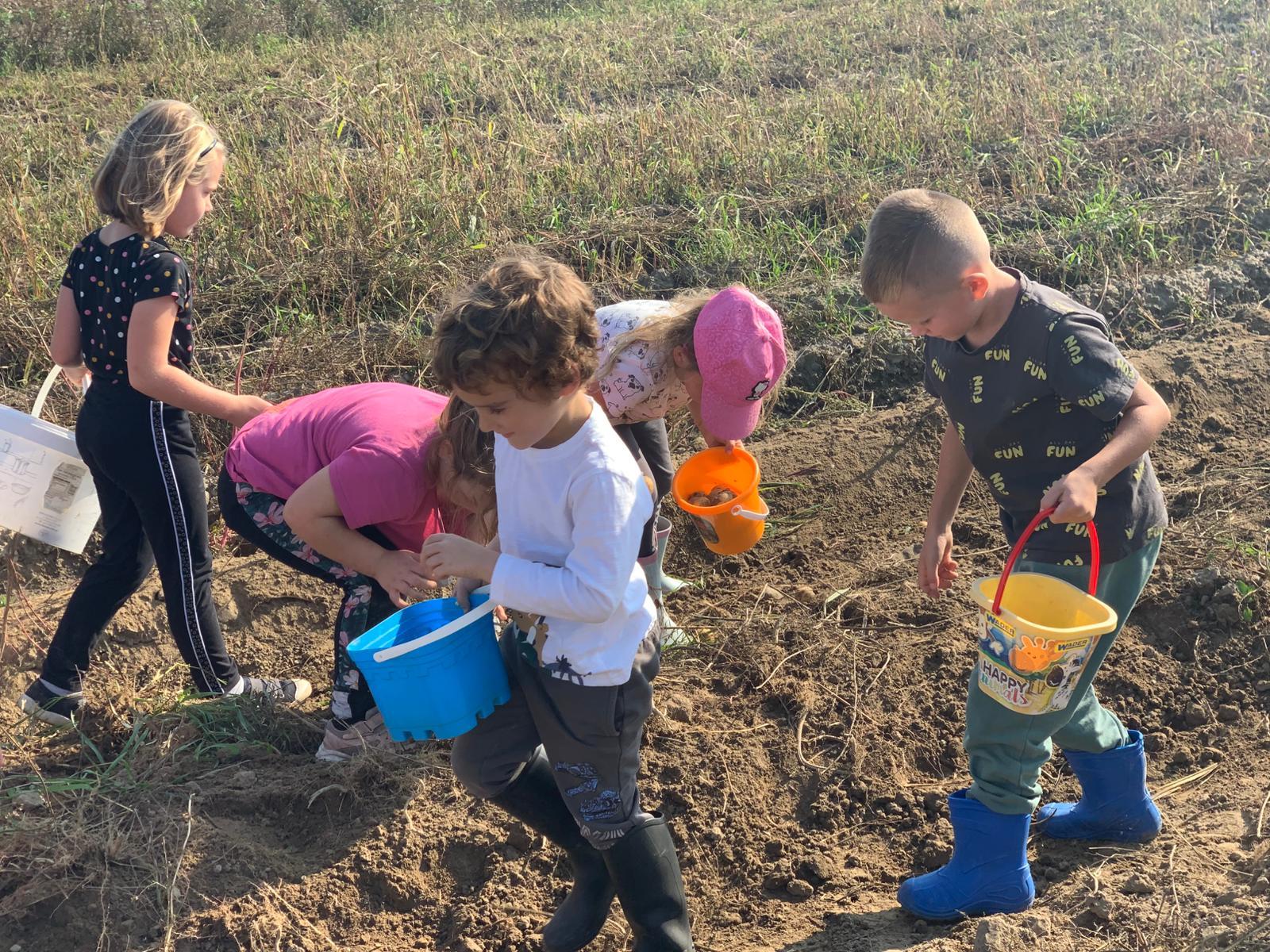 0a i 0b na wykopkach